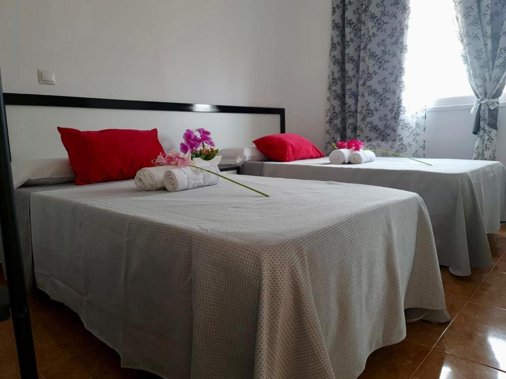 Franmay Apartments - 7 Modern Apartments Near The Beach & City, Perfect For Nomads, Travellers, Families, Watersports! Santa Maria Esterno foto