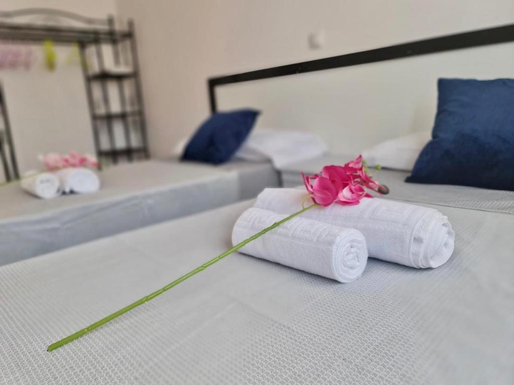 Franmay Apartments - 7 Modern Apartments Near The Beach & City, Perfect For Nomads, Travellers, Families, Watersports! Santa Maria Esterno foto